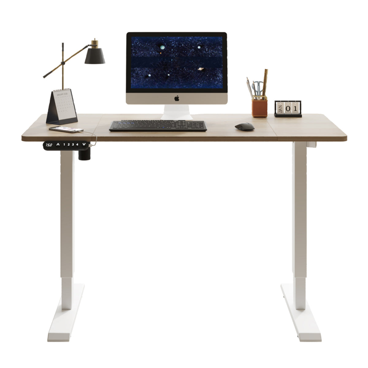48" Electric Standing Desk Oak | Height Adjustable Office Table